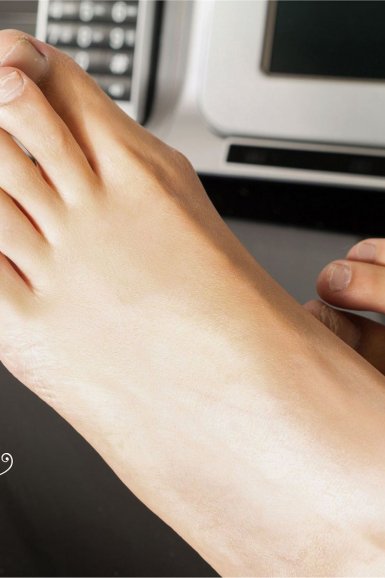 半岛web版登录入口